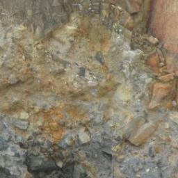 FlushGunawan's profile picture. 