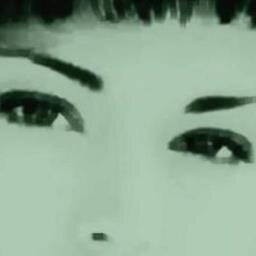 patriziavian's profile picture. dubium sapientiae initium  (Cartesio)