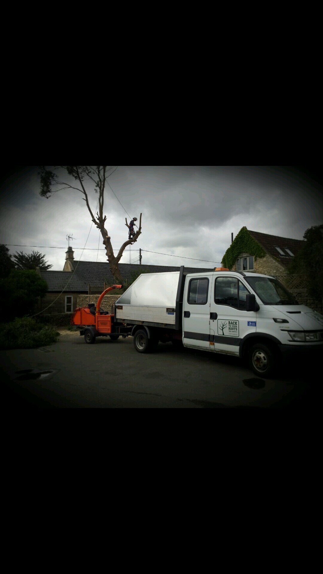 Back To Your Roots is a family run professional tree services company, offering a variety of expertise including tree felling, removal and dismantling, pruning,