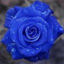 نورة لطيف (@0115672) Twitter
