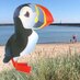 AmbleByTheSea (@amblebythesea) Twitter profile photo