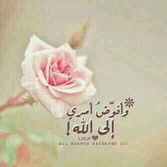 joode18959562's profile picture. إلهي اسالك توفيقا يلازم خطاي وتيسير منك ♡