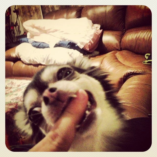 maclah's profile picture. 