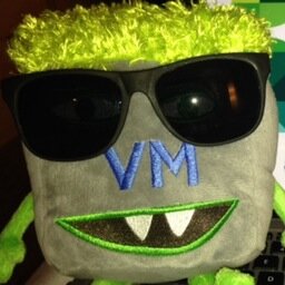 Member of technical staff at VMware