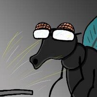 Wild fly that is mine (@myfly4711) 's Twitter Profile Photo