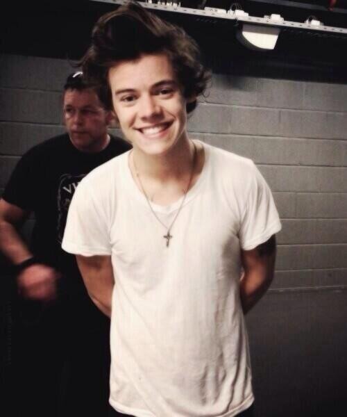 hi i followed you because youre beautiful and i love you please follow @butternutharry because i dont tweet on this account :) ily