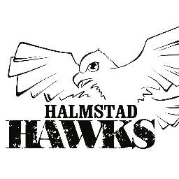 hmhawks's profile picture. 