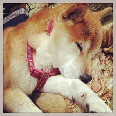 kaoriのプロフィール写真