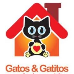 Nos dedicamos a los gatos callejeros de V. Crespo. Los alimentamos, los curamos y los damos en adopcion. Contacto: adopciones.villacrespo@yahoo.com.ar