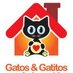 GATOS & GATITOS (@adopciongatis) Twitter profile photo