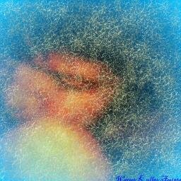 Artista pástica, Profesora de alemán, bióloga marina, traductora de alemán, escritora.