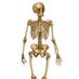 Ms. Fischer (@senioranatomy) Twitter profile photo Ms. Fischer (@senioranatomy) Twitter profile photo