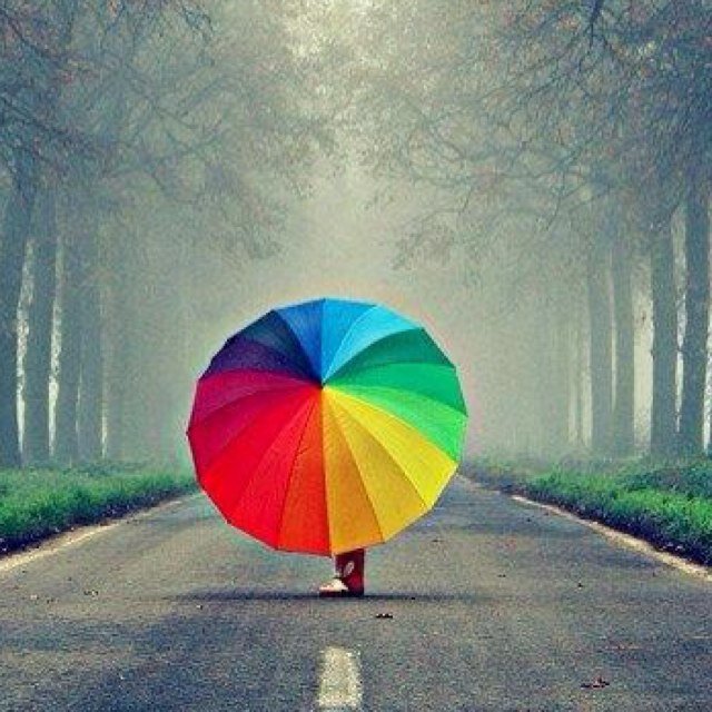 livros_citacoes's profile picture. 