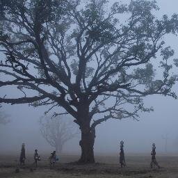 Photojournalist contributing Agence France-Presse (https://t.co/ToSli7L4D8, @AFPphoto) from Bhopal. Formerly with Bhaskar, Patrika, Hindustan Times and DB Post.