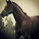 Irma Veronica Angulo - @Verito1569 - Twitter