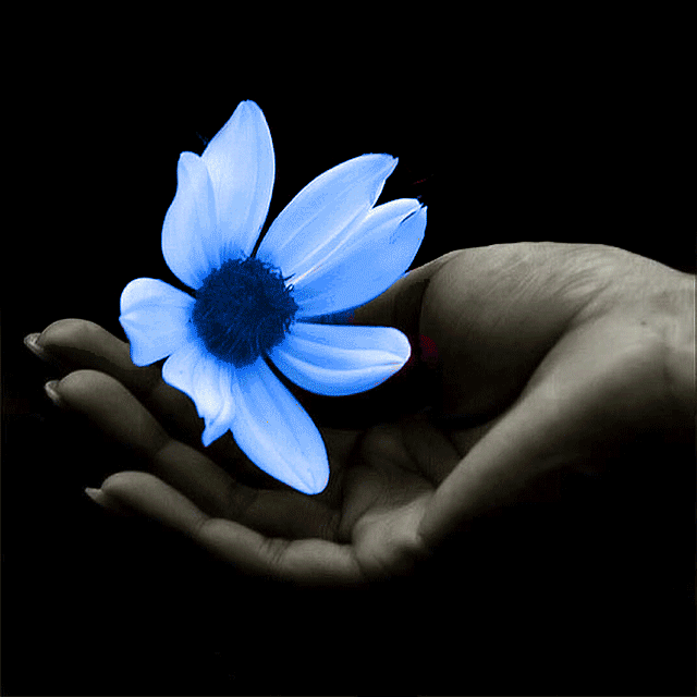 MaryZinco's profile picture. 