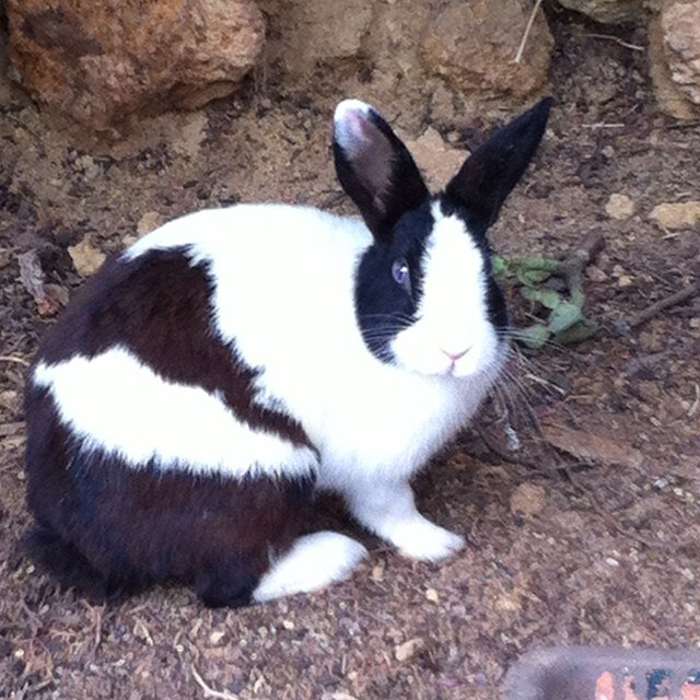 fjgmagic's profile picture. 