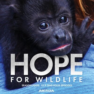 wildlife hope tv