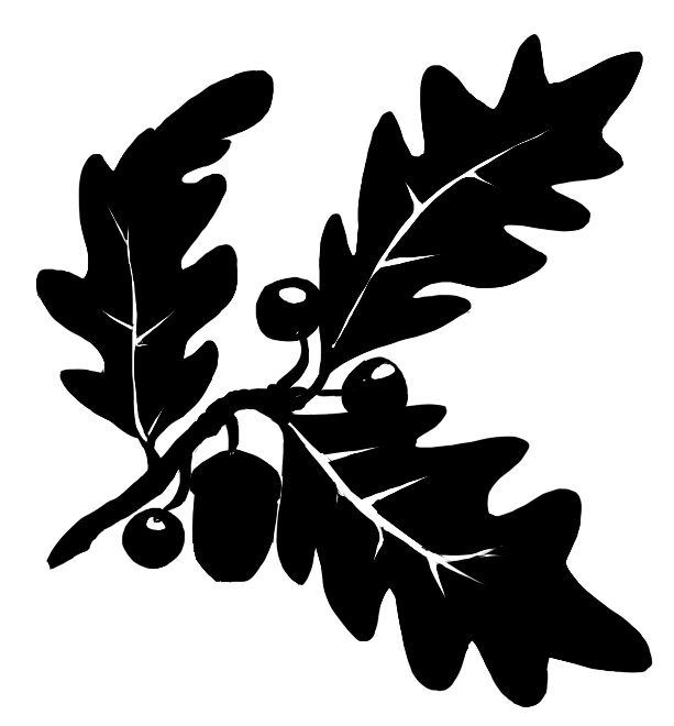Book Cover Design and Illustration services for self-publishing authors, writers and poets. Part of Rowanvale Books - assisted self-publishing services.