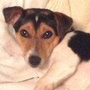 will whiting - @willwhiting64 - Twitter