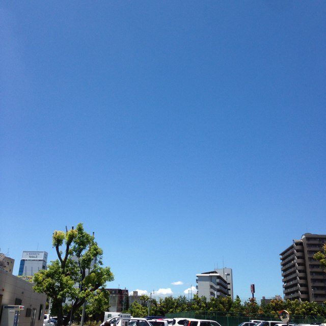 blue_hrk's profile picture. 