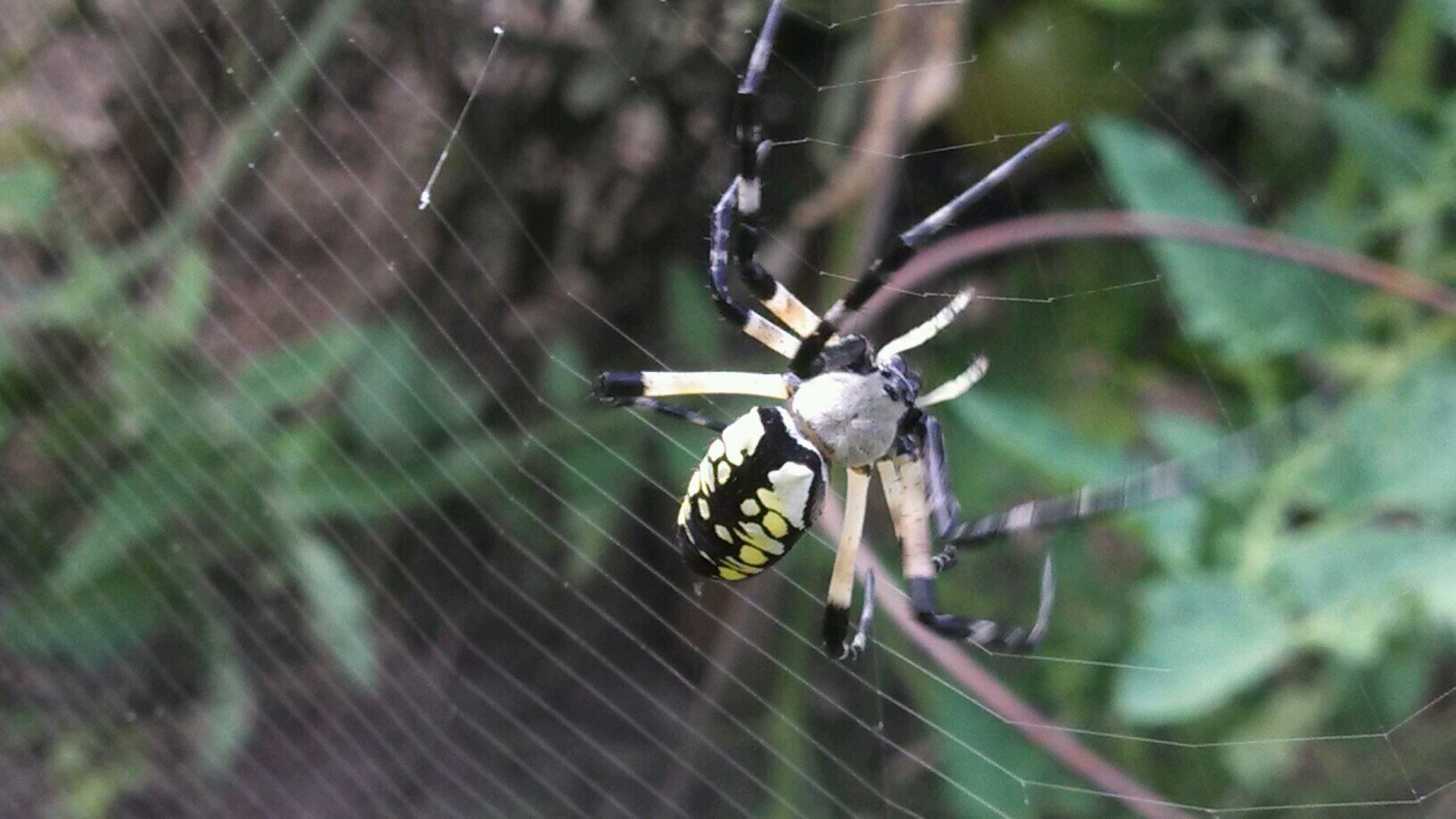 stimpy757's profile picture. 