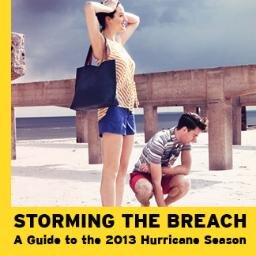 Storming the Breach, a how2 for inhabiting the catastrophe of the present, a call to the makers & hackers, picklers & preppers, cleanup crews & revolutionaries.