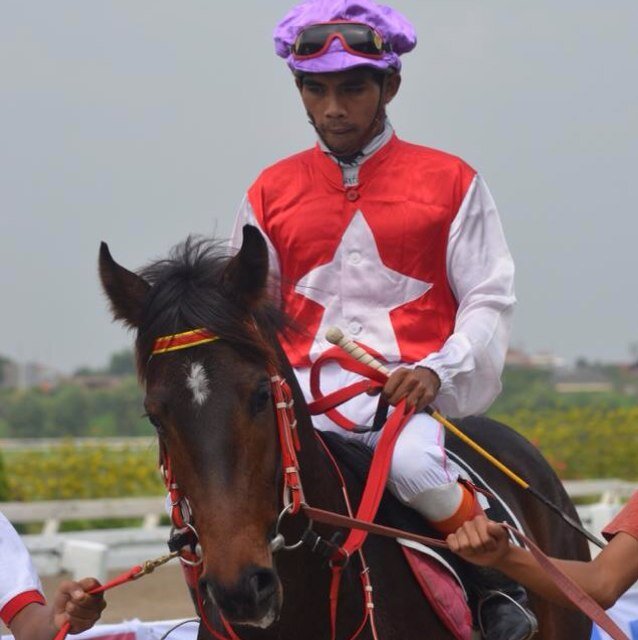 Aragon Stable