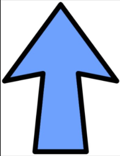 Team Follow Back