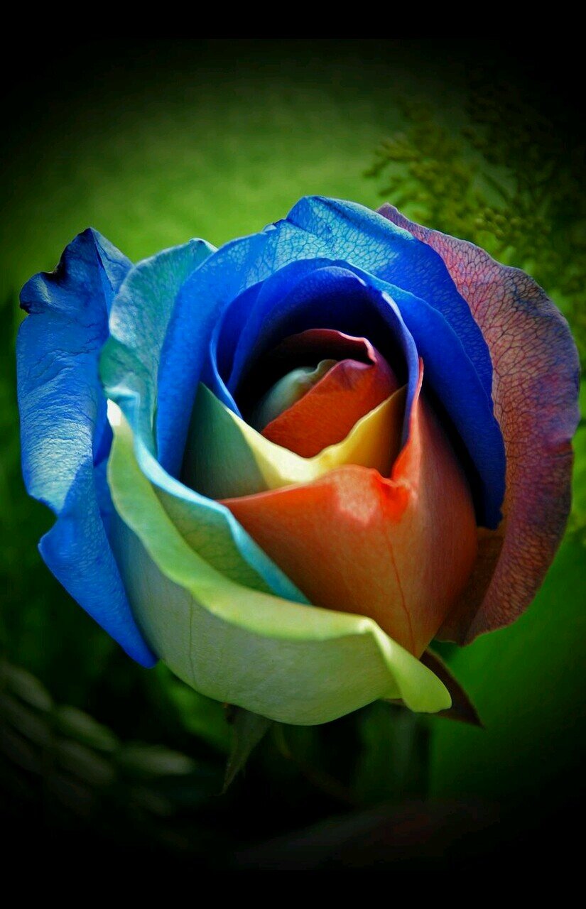 nrim011's profile picture. 