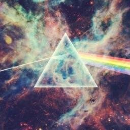 Ask for a follow back.
Unicorns are cool✌.