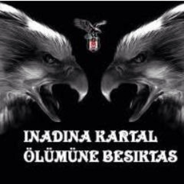 Koşabiliyorsan koş, yapamıyorsan yürü, gerekirse sürün ama mutlaka ilerle.
