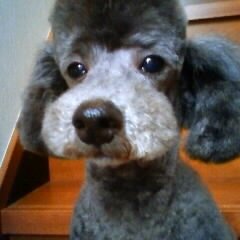 10kainu's profile picture. 分子生物学とお歌。バンドやろうぜメン募中