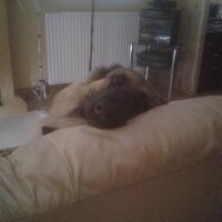 Maria (@mariask18) 's Twitter Profile