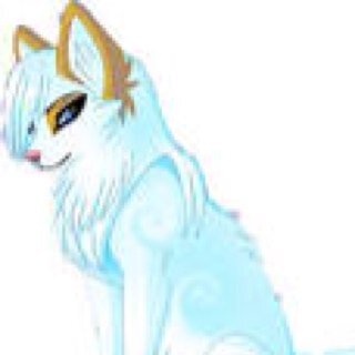 (The name is Suzuka Yuzu) (I am a beta and  @chinatsuyumi is the alfa) ( i protect who i care about and destroy whoever gets in my way) (#18+ #RP)