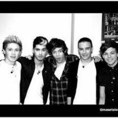 One Direction is our life♥ we will support them through everything♥ Mess with them you mess with us, Love all Directioners