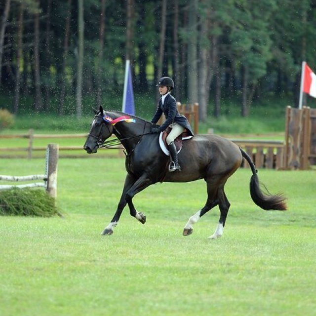 eqstruggle's profile picture. The well known struggle of gaining your place in the competitive world of equestrians. If you're not in first, you're in last.
                          Canada