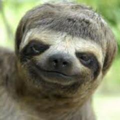 hypersonicwake's profile picture. if you want to change the world, you must be able to change the government first.