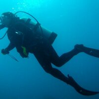 Patricia C (@oceantrish) 's Twitter Profile