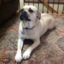 Jacob Nance - @jakster16 - Twitter