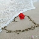 ميمو الدوسري (@0565879013) Twitter