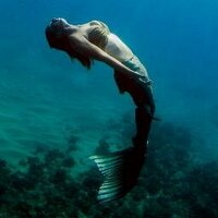 Finfolk Productions (@finfolkmermaids) 's Twitter Profile