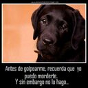 Laura Daniela Bermeo (@11Laladaniela) Twitter