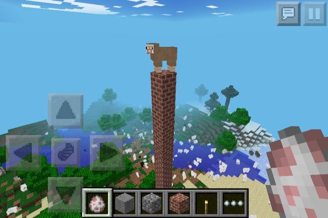 Minecraft is boss