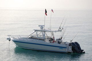 lifeisreelgood's profile picture. 