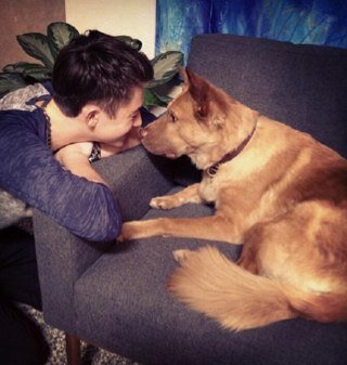 TeamGreyson's profile picture. The Official Fanbase of Greyson Chance team, we love @greysonchance & we're share news, facts, quotes, and a lot information about him.