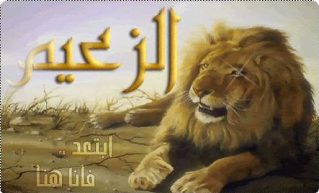 BbjMdj's profile picture. 