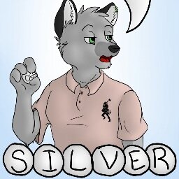 Im a 28year old wolf in NY.