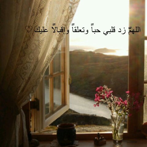 أكتُـب دائماً ما يُرضي اللہ ؛ فَأنت تكتُب ؛ و الملائكة تكتُب♥