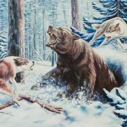 Серьезный человек, Serious and independent...Send money...I collect for my work...https://t.co/bcbjeELS79